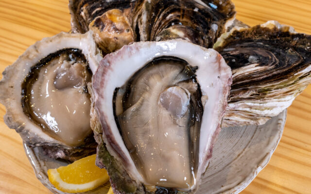 魚虎のギャラリー写真